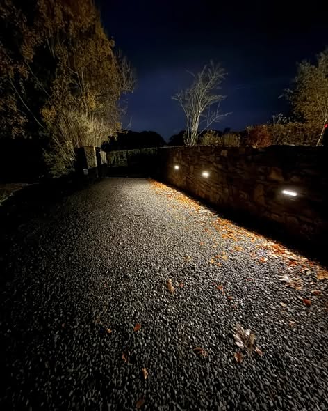 589115614_773970278997492_4378224237776177906_n