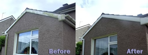 westbourne roofing photo 3