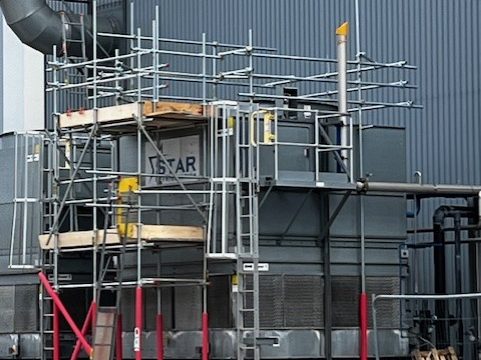 watson scaff 4