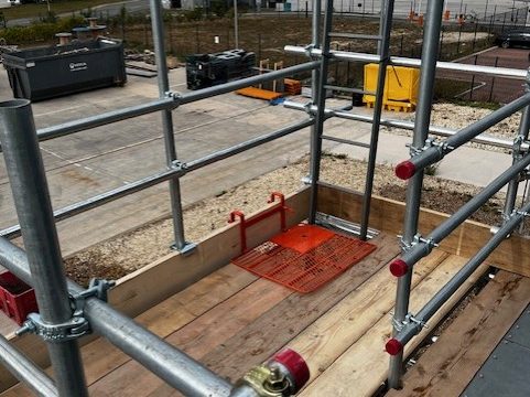 watson scaff 5