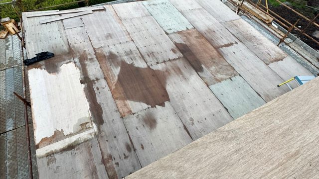 1c4cda0b-903a-4b9d-9cb5-dbc5ba0f606b