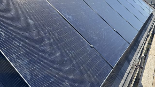 497533414_1254160356712258_8917514082844396374_n