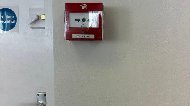 488759634_122174510696281729_8861406930234645214_n