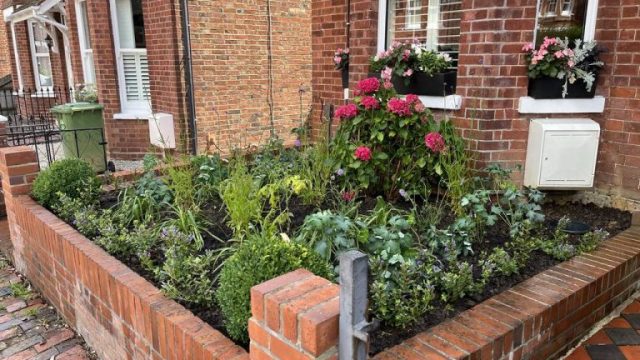 barker-and-farris-stephens-front-garden-after-planting-2-1-768×576