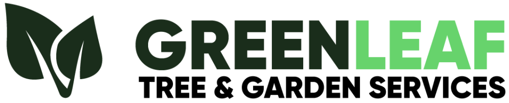 logo (5)