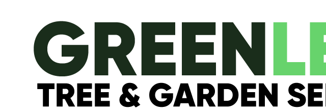 logo (5)